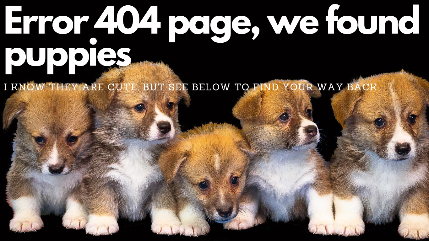 Error 404 page, image of Puppies